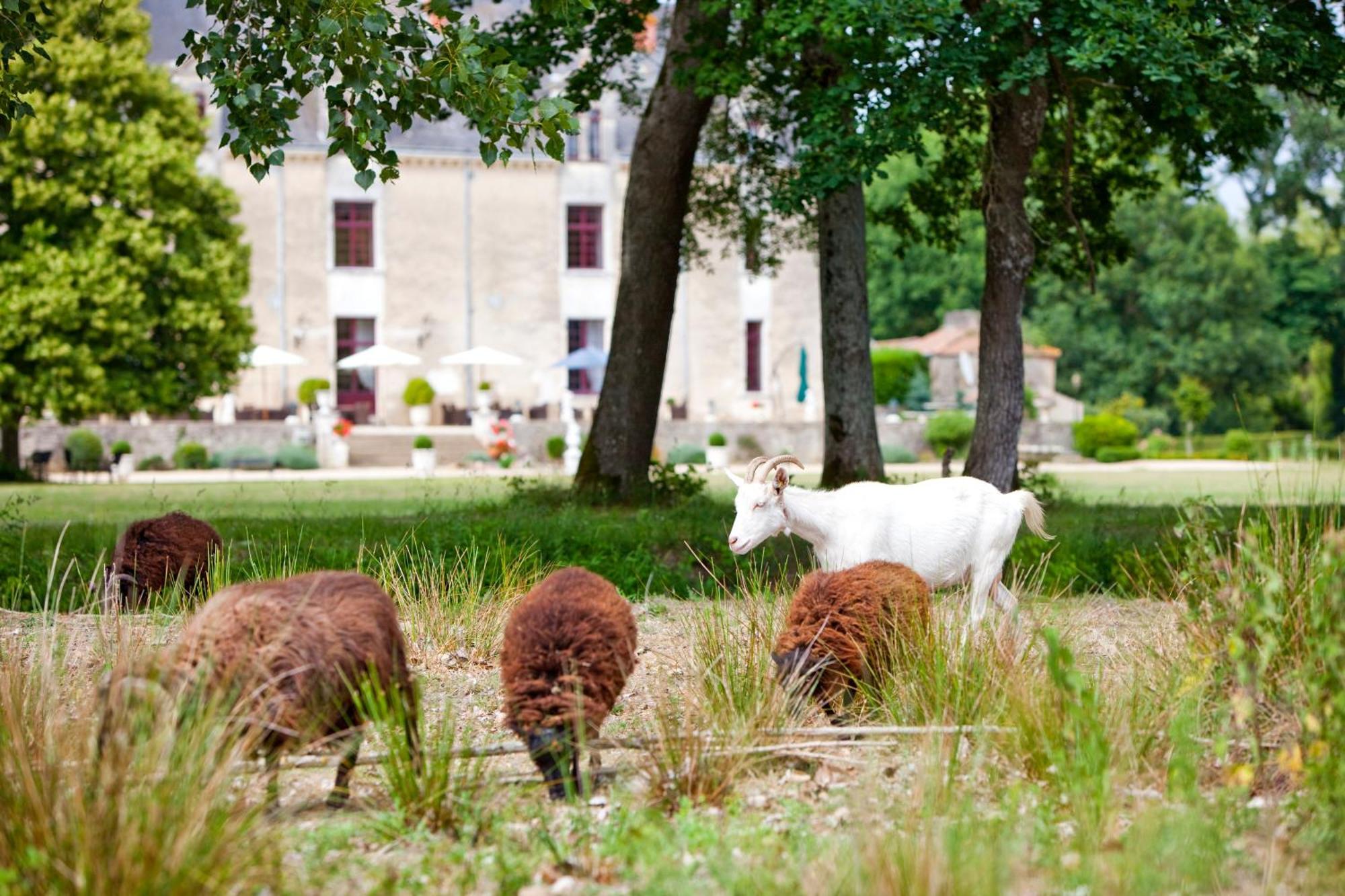 Chateau De La Verie Challans Zewnętrze zdjęcie