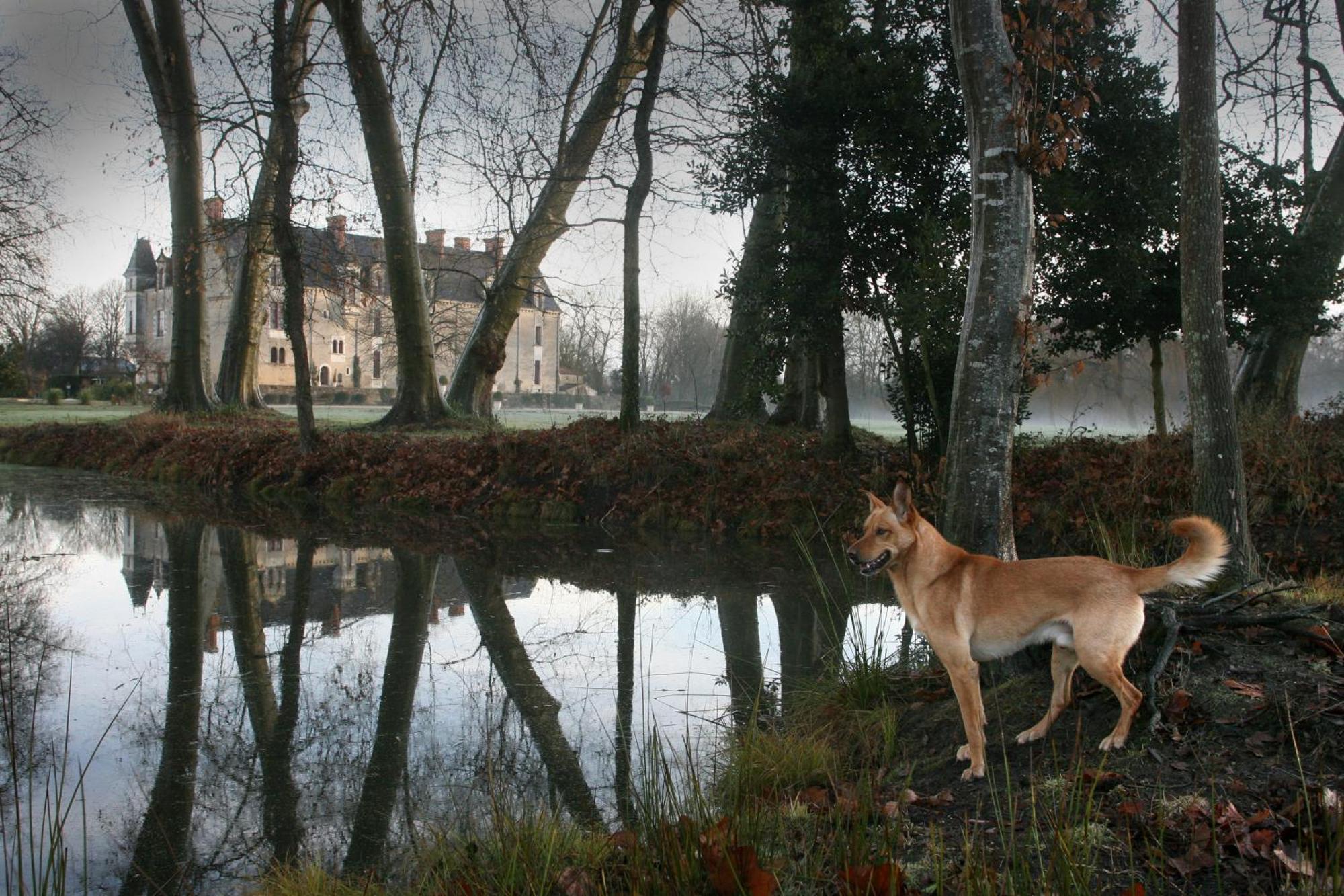 Chateau De La Verie Challans Zewnętrze zdjęcie